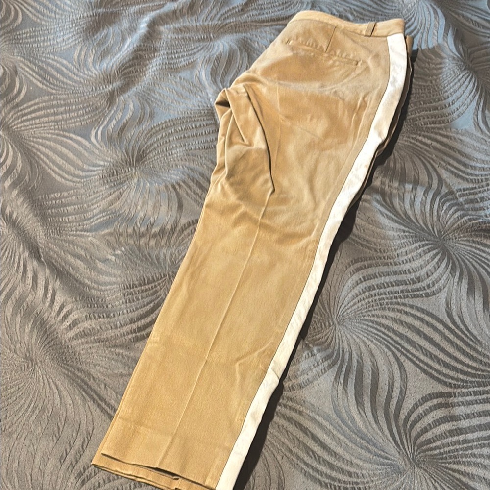 Banana Republic Tan Pants with White Stripe